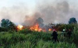 TP Hồ Chí Minh tăng cường phòng cháy, chữa cháy rừng